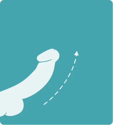 Medical-style illustration showing the first stage of increased blood flow used in the Soda Peak Gummies explanation