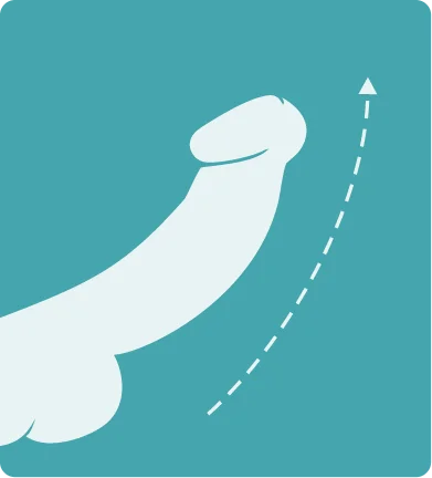 Medical-style illustration showing the third stage of increased blood flow used in the Soda Peak male enhancement explanation