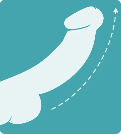 Medical-style illustration showing the fourth stage of expansion in the Soda Peak Gummies explanation